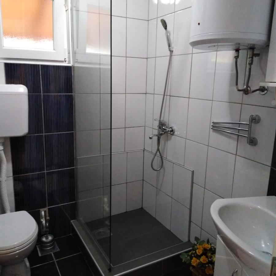 Apartman Sasa Banja Koviljaca Exterior photo