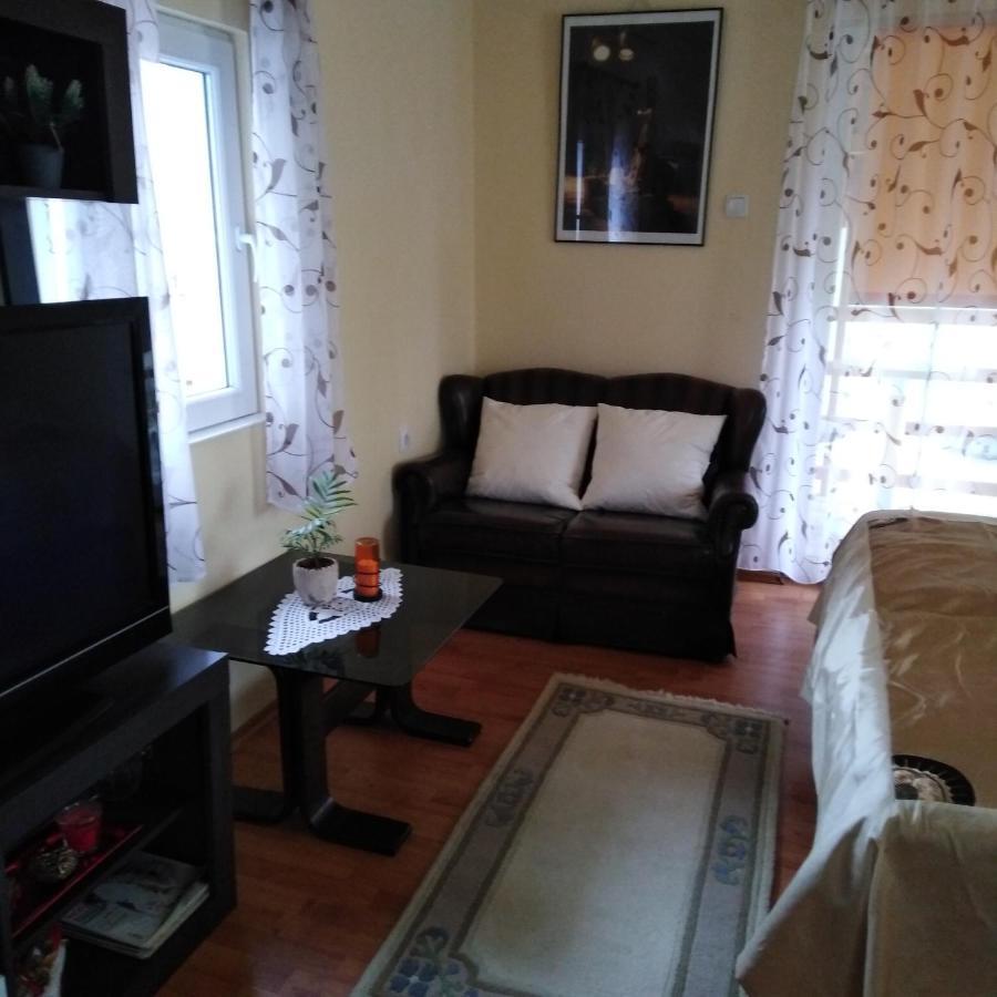 Apartman Sasa Banja Koviljaca Exterior photo